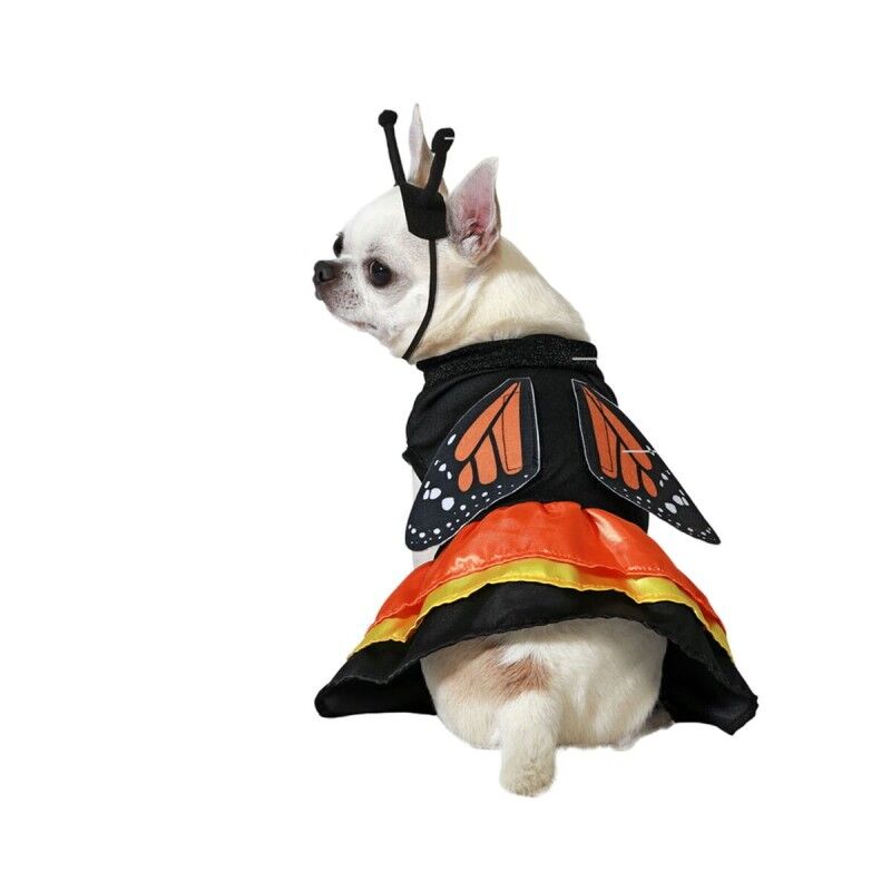 Costume per Cane Taglia L Farfalla Costume per Cane Taglia L Farfalla