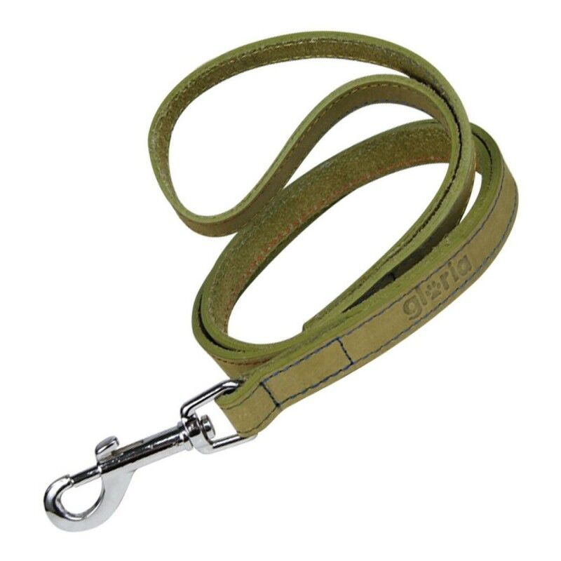Guinzaglio per Cani Gloria Oasis 3 x 60 cm Verde Guinzaglio per Cani Gloria Oasis 3 x 60 cm Verde