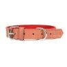 Collare per Cani Gloria Oasis Rosso (1,5 x 40 cm)