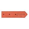 Collare per Cani Gloria Oasis Rosso (1,5 x 40 cm)
