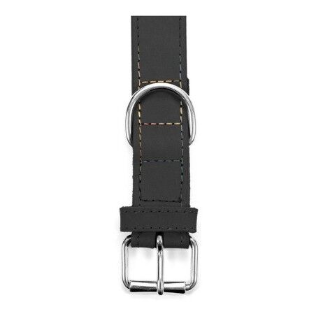Collare per Cani Gloria Oasis Nero (1,5 x 40 cm)