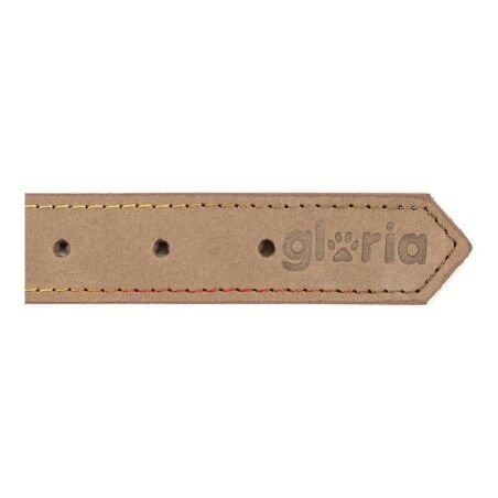 Collare per Cani Gloria Oasis Bianco (1,5 x 40 cm)