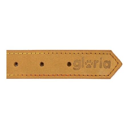 Collare per Cani Gloria Oasis Giallo (1,5 x 40 cm)