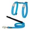 Pettorina per gatti Red Dingo Style Turchese Stella Bianco Cinghia
