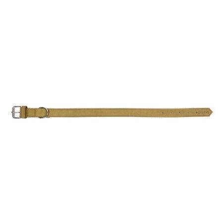 Collare per Cani Gloria Oasis Verde (35 x 1,2 cm)