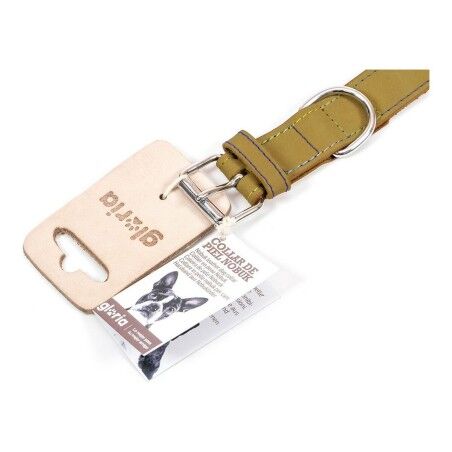 Collare per Cani Gloria Oasis Verde (35 x 1,2 cm)