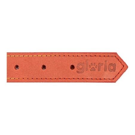 Collare per Cani Gloria Oasis Rosso (70 x 3 cm)