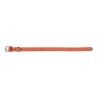 Collare per Cani Gloria Oasis Rosso (70 x 3 cm)
