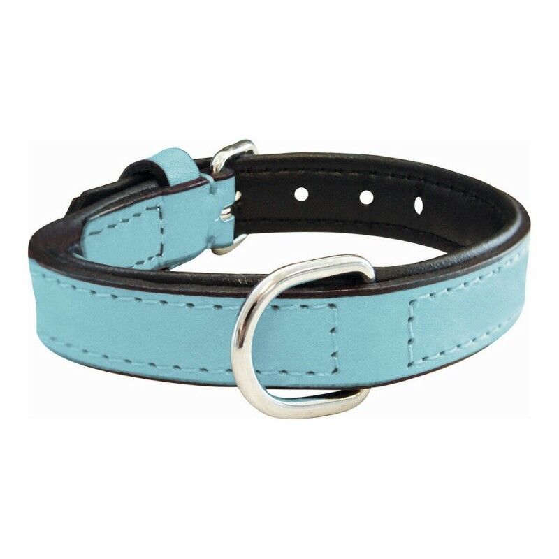 Collare per Cani Gloria Trapunta Azzurro (55 x 2,5 cm) Collare per Cani Gloria Trapunta Azzurro (55 x 2,5 cm)