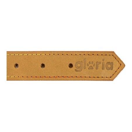 Collare per Cani Gloria Oasis Giallo (65 x 3 cm)