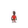 Statuina da Collezione Minix RAFAEL LEAO