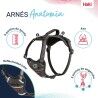 Imbracatura per Cani Company of Animals Grigio XS 20-32 cm