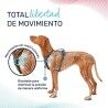 Imbracatura per Cani Company of Animals Grigio XS 20-32 cm