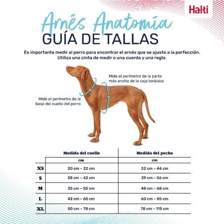Imbracatura per Cani Company of Animals Grigio XS 20-32 cm