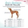 Imbracatura per Cani Company of Animals Grigio XS 20-32 cm