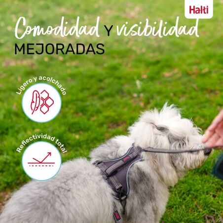 Imbracatura per Cani Company of Animals Grigio XS 20-32 cm