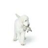 Peluche per cani Hunter Beige 100 % Riciclato Volpe