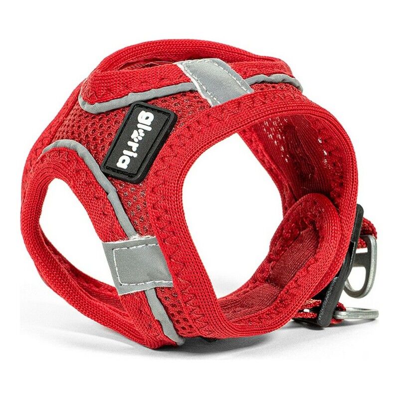 Imbracatura per Cani Gloria Air Mesh Trek Star Regolabile Rosso Taglia XXXS (18-20 cm) Imbracatura per Cani Gloria Air Mesh Trek Star Regolabile Rosso Taglia XXXS (18-20 cm)