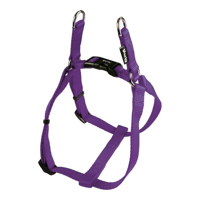 Imbracatura per Cani Gloria Liscio Regolabile 35-51 cm Viola S Imbracatura per Cani Gloria Liscio Regolabile 35-51 cm Viola S