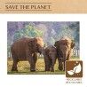 Puzzle Colorbaby Elephant 500 Pezzi 6 Unità 61 x 46 x 0,1 cm