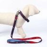 Guinzaglio per Cani DC Pets