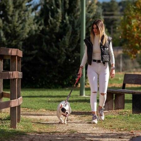 Guinzaglio per Cani DC Pets