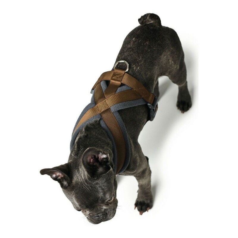 Imbracatura per Cani Hunter London Comfort XS-S 39-47 cm Marrone Imbracatura per Cani Hunter London Comfort XS-S 39-47 cm Marrone
