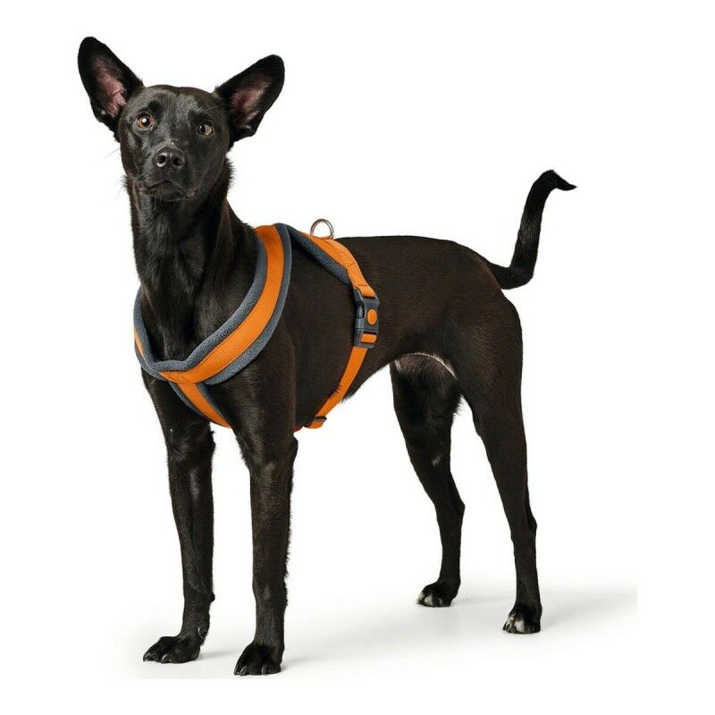 Imbracatura per Cani Hunter London Comfort 39-47 cm Arancio XS/S Imbracatura per Cani Hunter London Comfort 39-47 cm Arancio XS/S