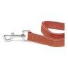 Guinzaglio per Cani Gloria Oasis 2.1 x 100 cm Rosso