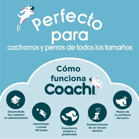 Giocattolo da allenamento Coachi Stick Azzurro