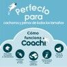 Giocattolo da allenamento Coachi Stick Azzurro