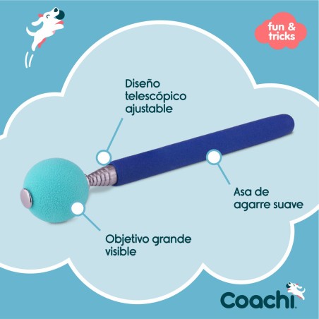 Giocattolo da allenamento Coachi Stick Azzurro
