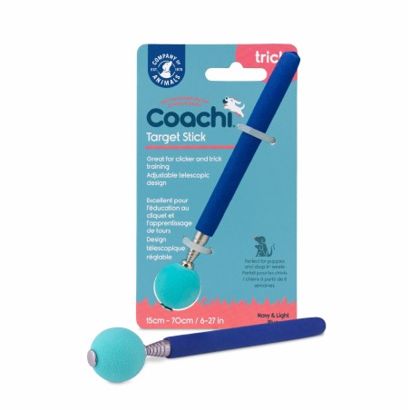 Giocattolo da allenamento Coachi Stick Azzurro