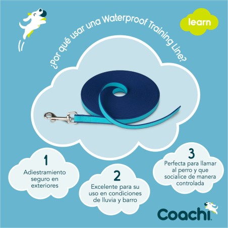 Guinzaglio da addestramento Coachi Azzurro Allenamento