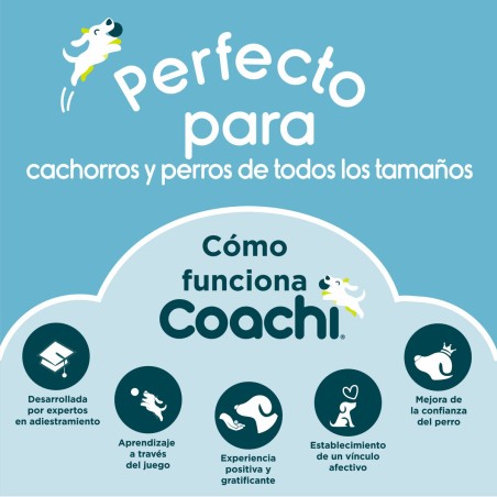 Guinzaglio da addestramento Coachi Azzurro Allenamento