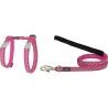 Imbracatura per Cani Red Dingo On Hot 21-35 cm Rosa