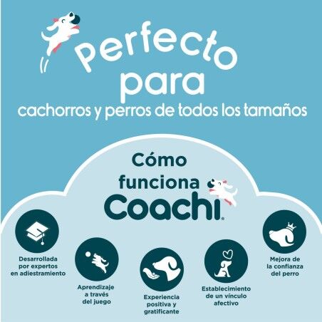 Necessaire Coachi Train & Treat Azzurro