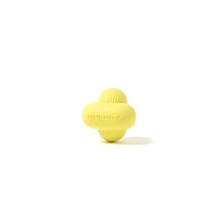 Giocattoli per cani Earth Rated