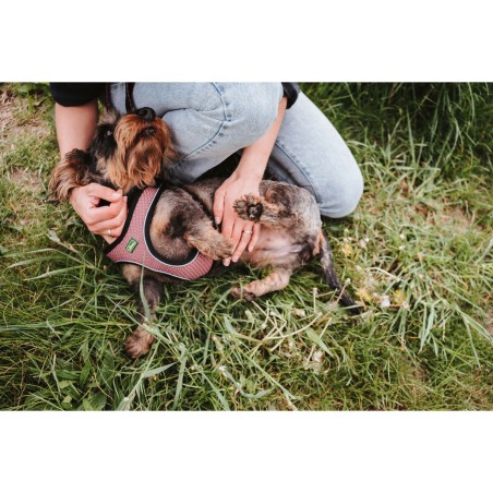 Imbracatura per Cani Hunter Comfort Rosa XS 35-37 cm