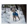 Cappotto per Cani Red Dingo Puffer Turchese 35 cm