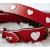 Collare per Cani Hunter Love Rosso S/M 38-44 cm