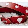 Collare per Cani Hunter Love S/M 35-43 cm Rosso