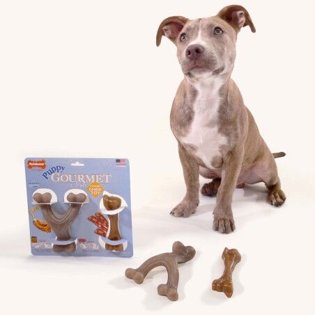 Giocattolo da mordere per cani Nylabone Marrone Burro Di Arachidi Bacon Artificiale S