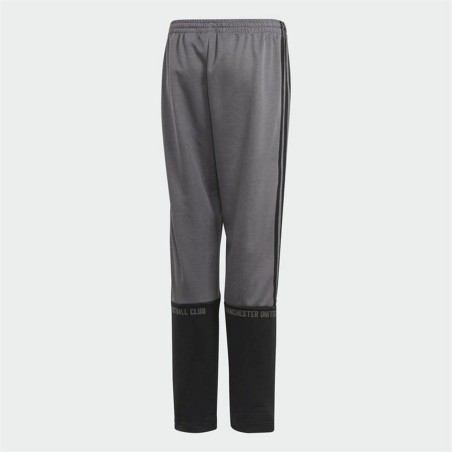 Pantalone Sportivo per Bambini Adidas Manchester United Grigio