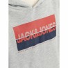 Felpa con Cappuccio Uomo Jack & Jones Jjnolan Grigio