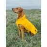 Cappotto per Cani Hunter Milford Giallo 40 cm