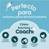 Necessaire Coachi Train & Treat Azzurro