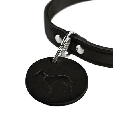 Collare per Cani Hunter Aalborg Nero S/M 37-43 cm