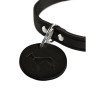Collare per Cani Hunter Aalborg Nero S/M 37-43 cm