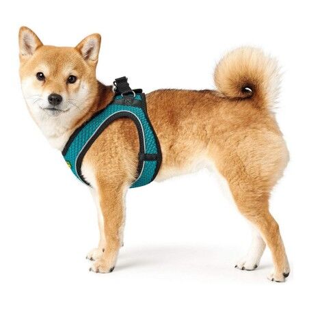 Imbracatura per Cani Hunter Hilo Comfort 55-60 cm Taglia M Turchese